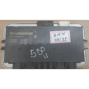 MODULO FRM BMW 550 613592519769 (USADO)