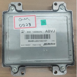 MODULO MOTOR GM MONTANA 1.4 E83 12659379 (USADO)